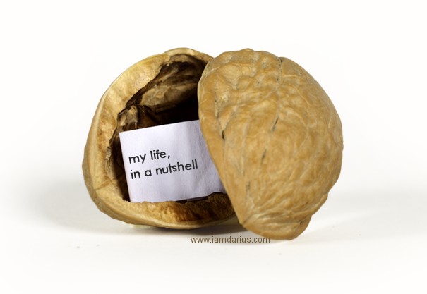 My Life in a Nutshell