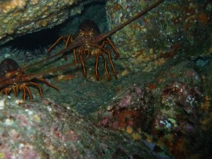 7127_140330978315_655378315_2703042_5658038_n