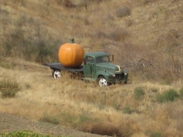 pumpkin truck